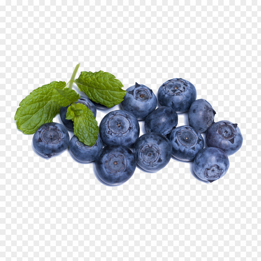 Blueberry Fruit Raw Foodism Brain PNG