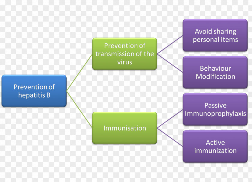 Criminal Law Sources Of Algemene Rechtsbeginselen Hepatitis PNG