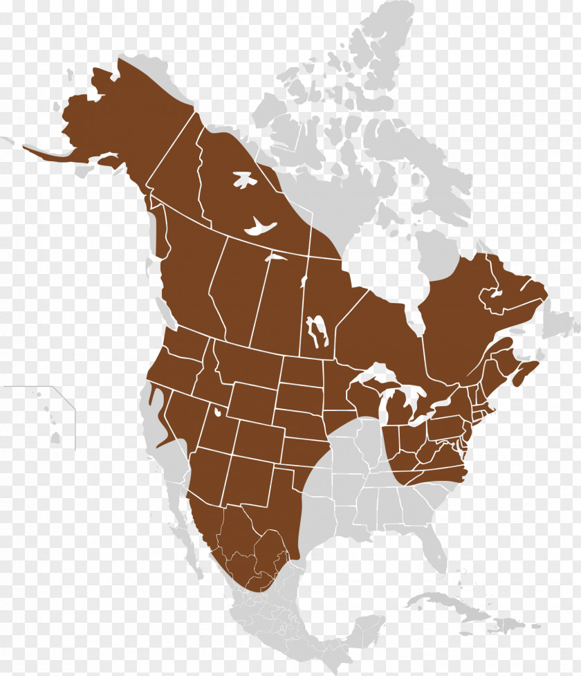 North American Porcupine Map United States Of America Canada Blank World PNG