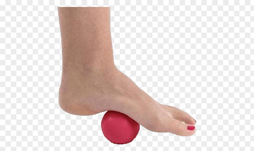 Sore Foot Pro-Roller Massage Essentials Exercise Balls Toe Hand PNG