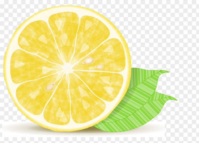 Vector Yellow Lemon Lemonade Drop Chicken PNG