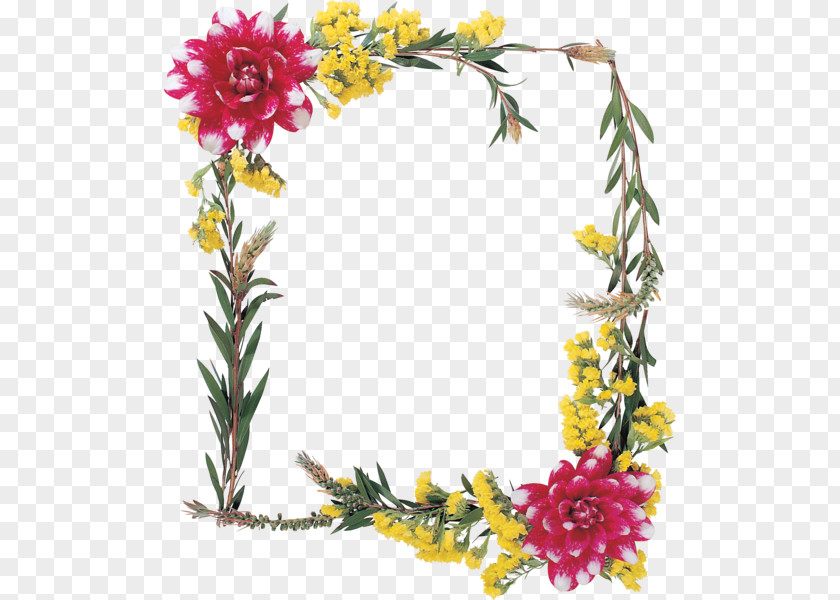 Flower Picture Frames Floral Design Yellow Red PNG