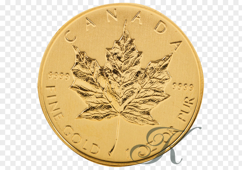 Gold Canadian Maple Leaf Bullion Coin Krugerrand PNG