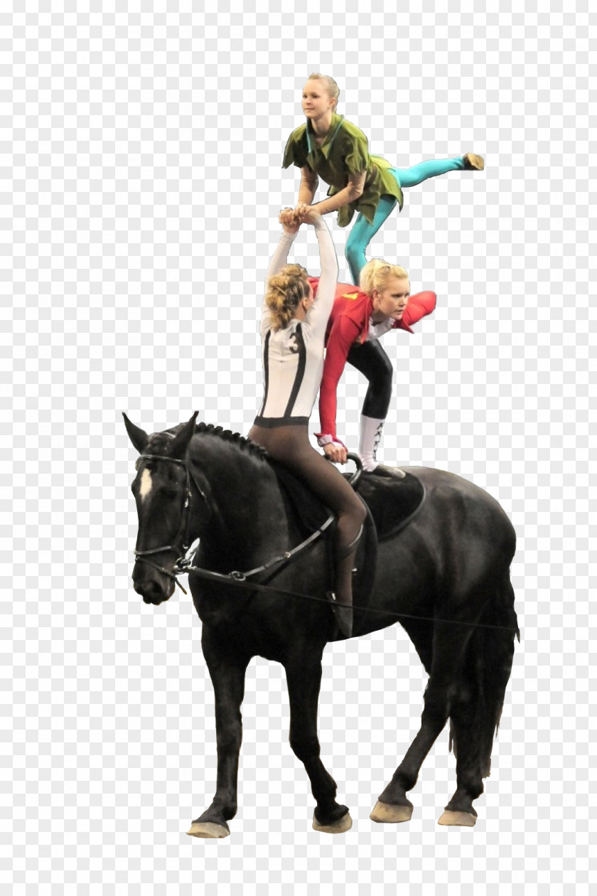 Hook Horse Tack Equestrian Vaulting Rein PNG