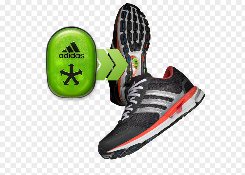 Adidas Sneakers Basketball Shoe Sportswear PNG