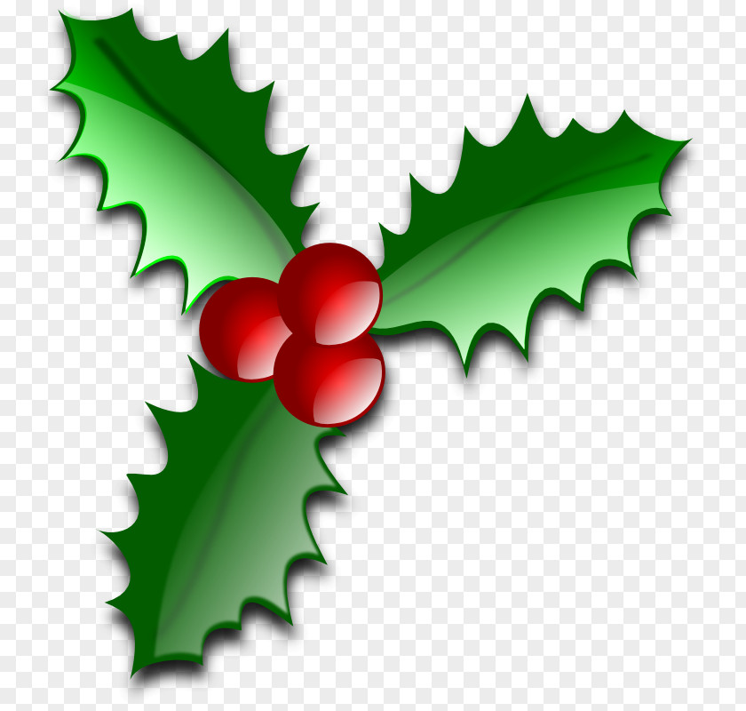 Christmas Icons Pictures Common Holly Tree Leaf Clip Art PNG