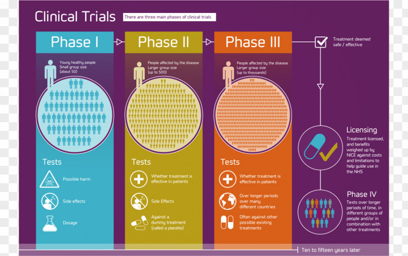 Clinical Trial Phases Of Research Contract Organization PNG