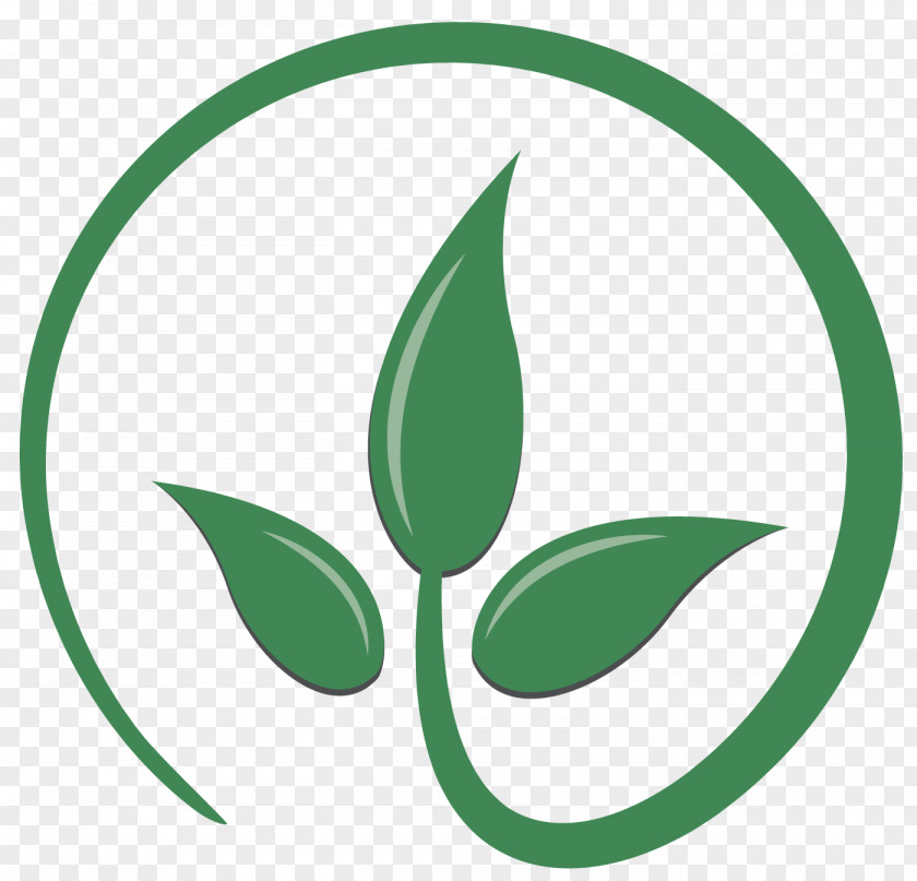 Folha Leaf Logo PNG