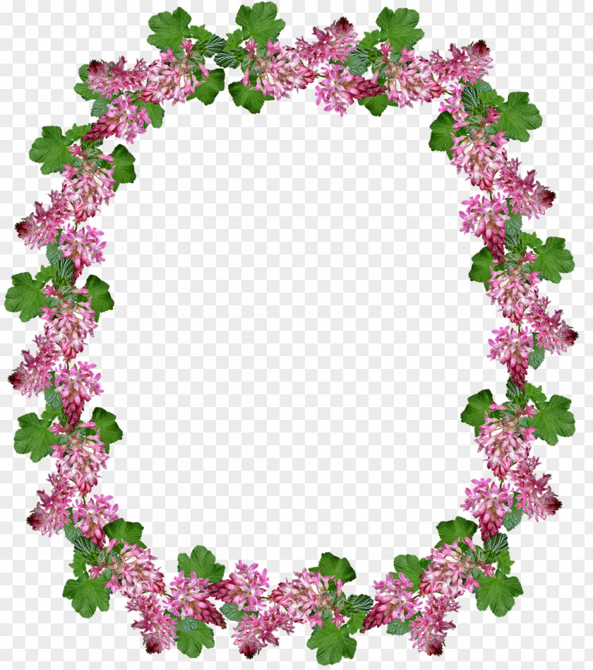 Magenta Picture Frame Flower Wreath PNG
