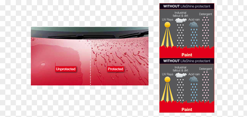 Paint Protection Ivybridge Motors Car Honda Motor Company Brand Graphics PNG