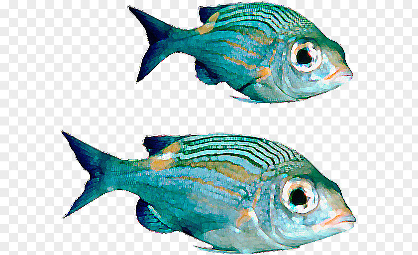 Real Fish File Download PNG