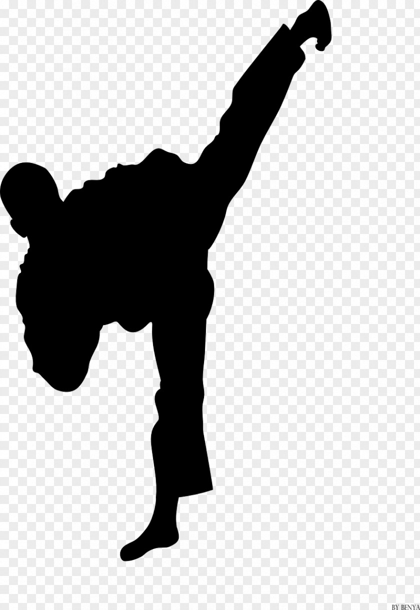 Fight T-shirt World Taekwondo Championships Martial Arts Sport PNG