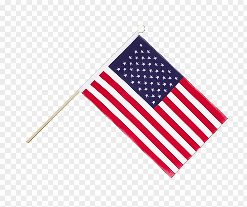 Flag Of The United States Annin & Co. PNG