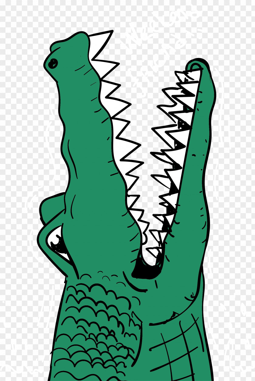 Green Crocodile Vector Alligator Crocodiles Illustration PNG