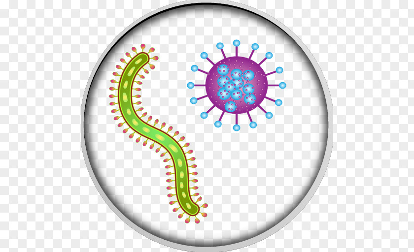 Microbiology Bacteria PNG