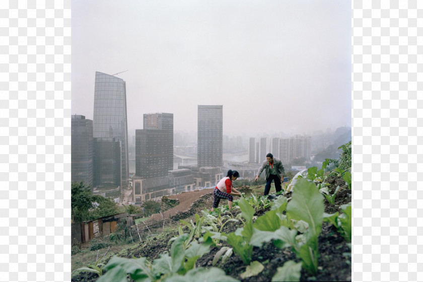 Urban Farm China Agriculture City Farmer: Adventures In Food Growing PNG