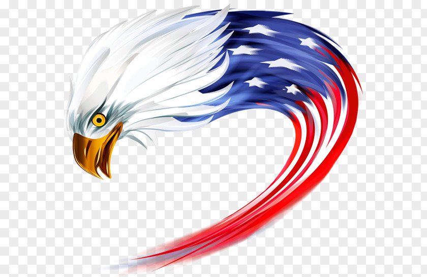 American Flag United States Desktop Wallpaper Clip Art PNG