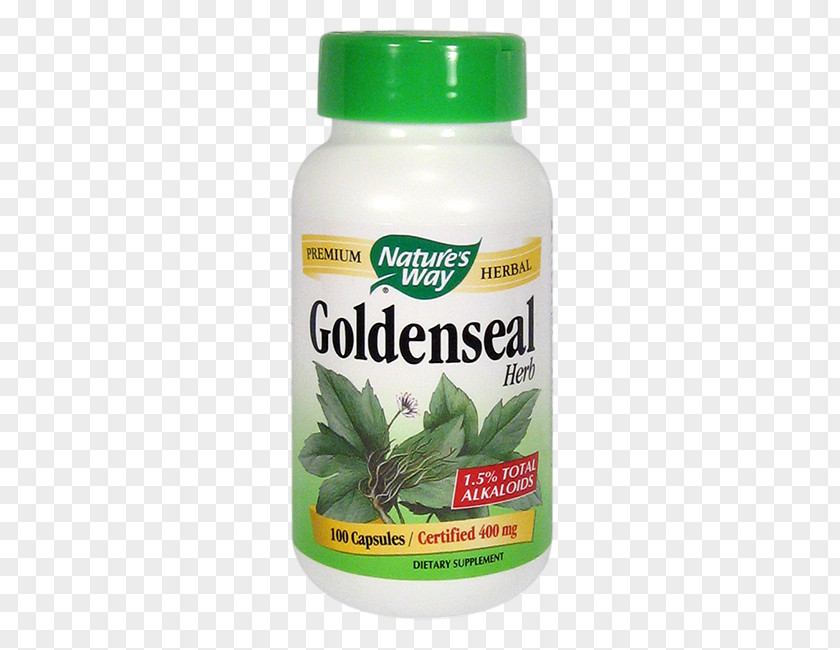 Dietary Supplement Greater Burdock Goldenseal Herb Capsule PNG