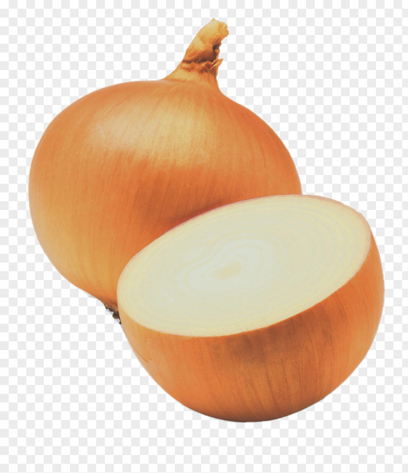 Onion Shallot Sweet Yellow Red White PNG