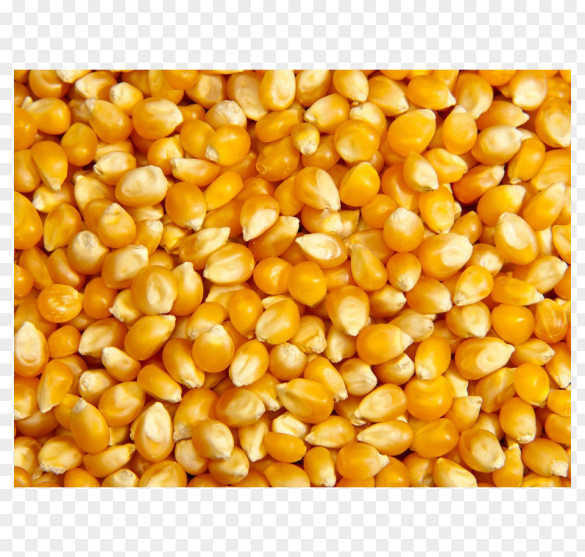 Popcorn Sweet Corn Maize Cereal Food PNG