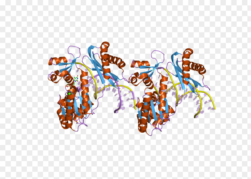 Protein Cartoon Organism Point Clip Art PNG