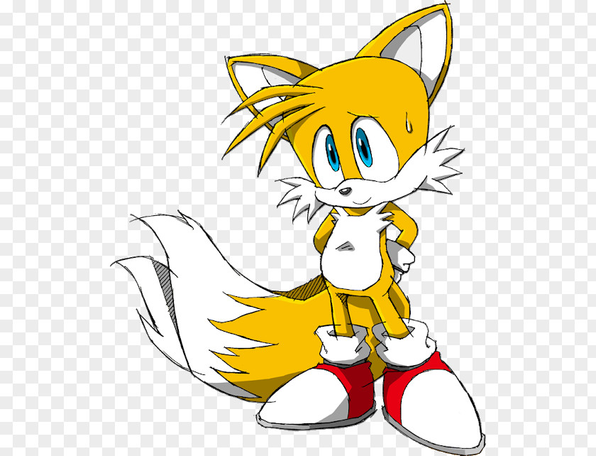 Sonic Cyclone Tails Advance 2 Chaos Metal PNG