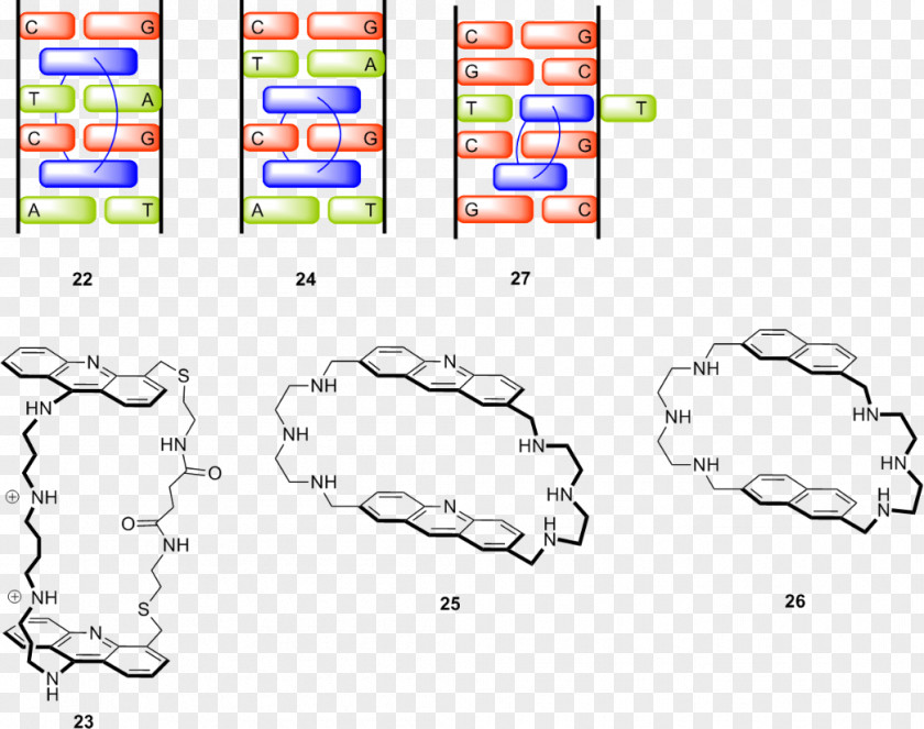 Supramolecular Chemistry Molecule Organism PNG