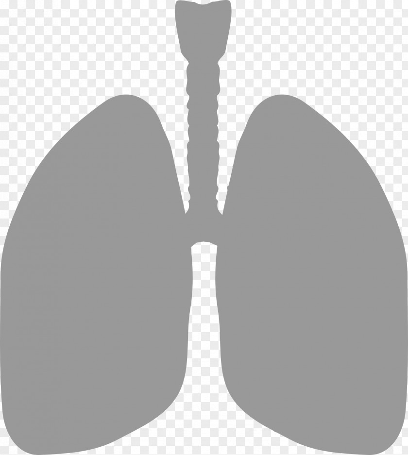 Lung Oxygen Therapy Breathing DLCO PNG