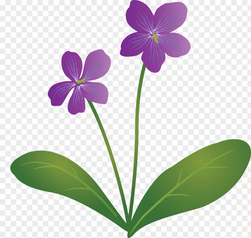 Violet Flower PNG