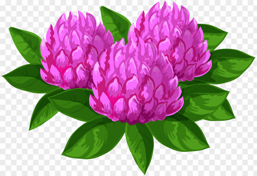 Wild Flowers Clip Art Image Flower PNG