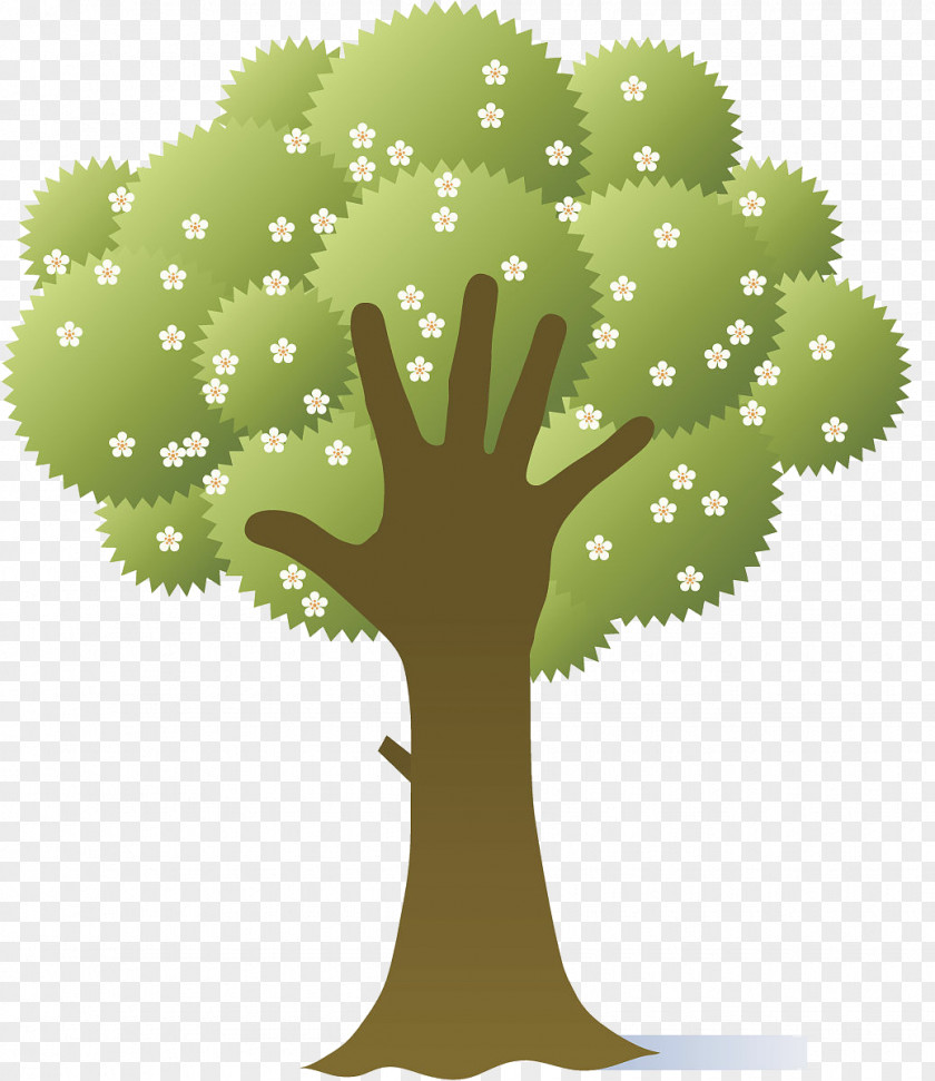 Green Creative Illustration Palm Tree Adobe Illustrator PNG