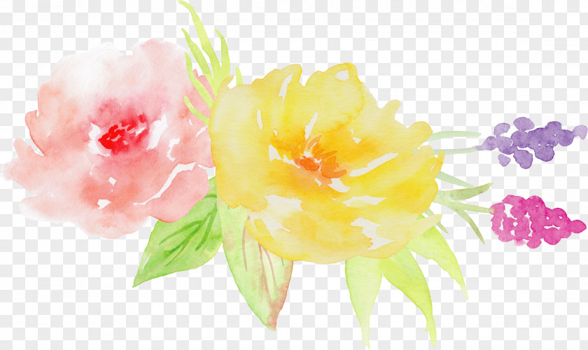 Hand-painted Watercolor Roses Decorative Elements PNG watercolor roses decorative elements clipart PNG