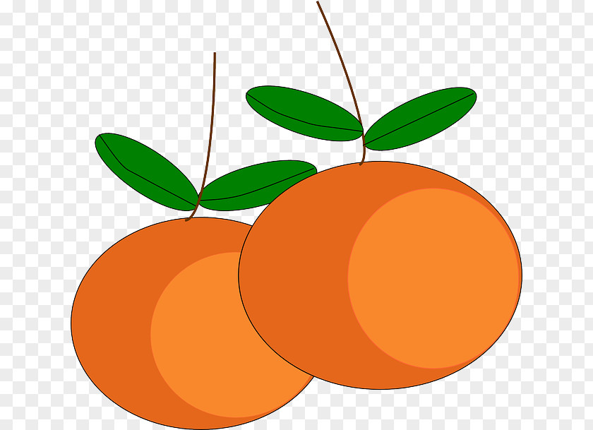 Orange Fruit Mandarin Tangerine Juice Clip Art PNG