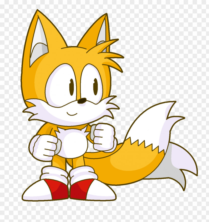 Sonic The Hedgehog Cat Tails 3D Modeling Kitten PNG