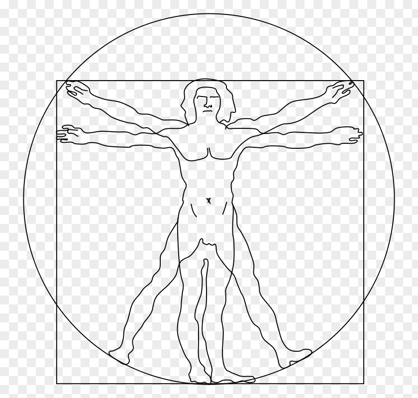 Vitruvian Man Clip Art PNG