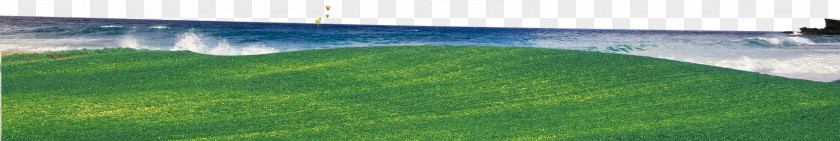 Beach Artificial Turf Landscape Lawn Landscaping Land Lot PNG