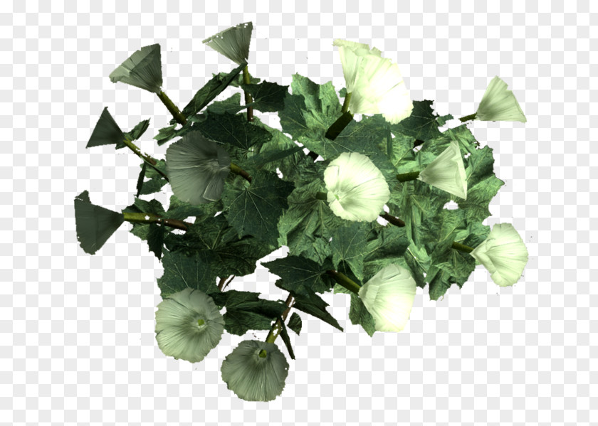 Leaf Sacred Datura Annual Plant Fallout 4 PNG