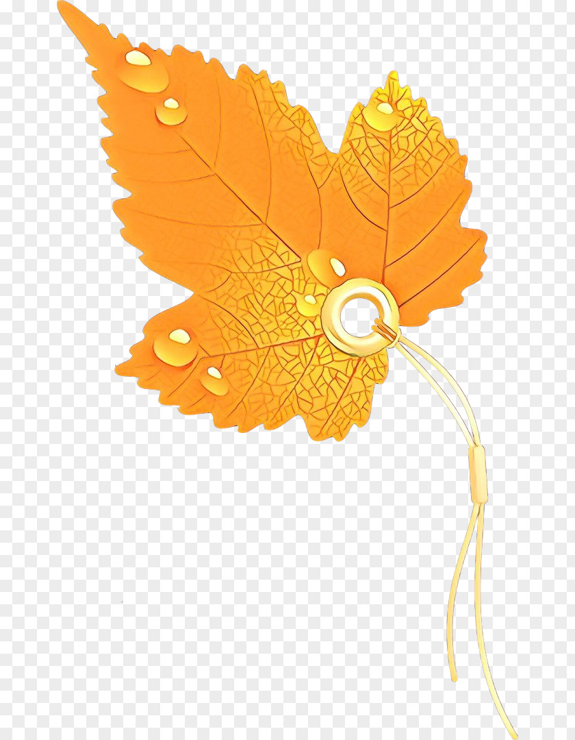 Maple Leaf Plant PNG