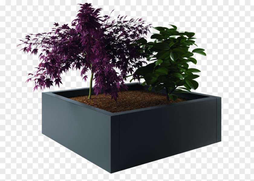 Tree Bonsai Flowerpot PNG