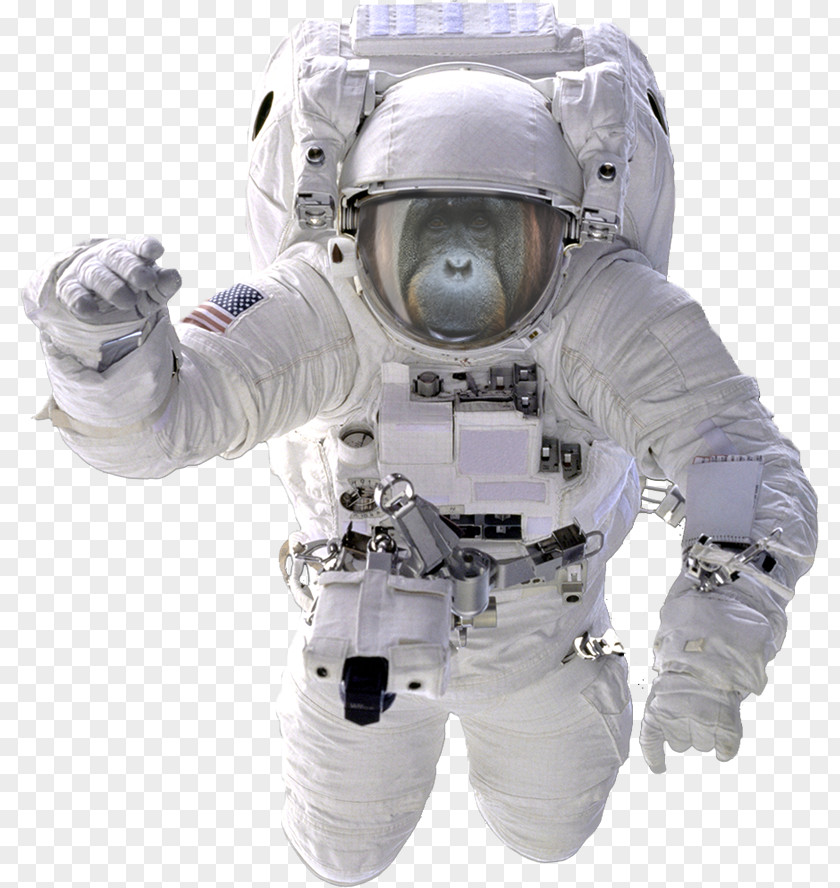 Astronauts Astronaut Download Clip Art PNG