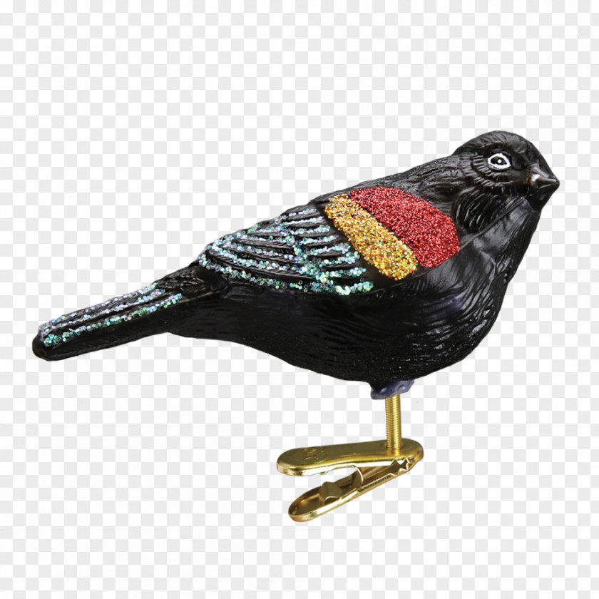 Bird Red-winged Blackbird Christmas Ornament Common Redwing PNG
