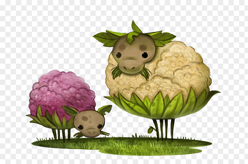Cartoon Cauliflower Design Drawing Vegetable PNG