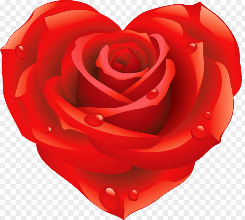 Flower Heart Rose Shape PNG