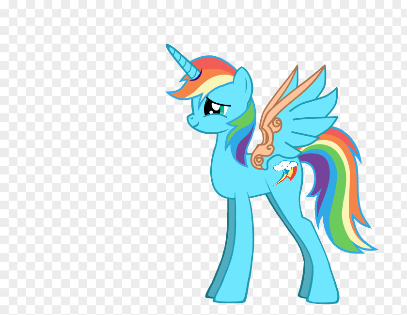 My Little Pony Rainbow Dash Twilight Sparkle Princess PNG