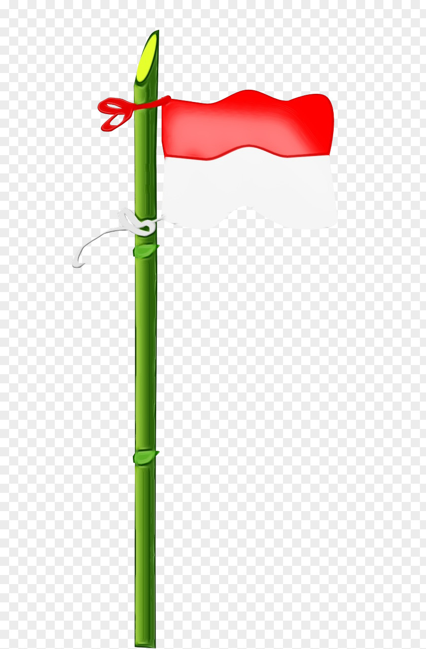 Plant Green Indonesia Flag PNG