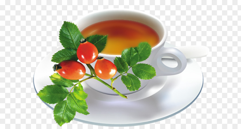 Tea Teacup Tomato PNG