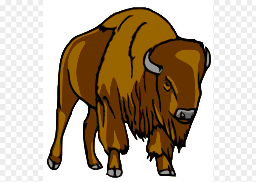 Cartoon Bison Cliparts American Bear Clip Art PNG