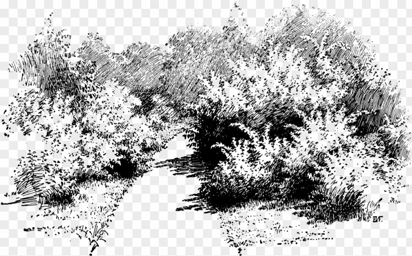 Crushed Gravel Patio Designs Pittock Mansion Drawing Design Shrub Illustration PNG