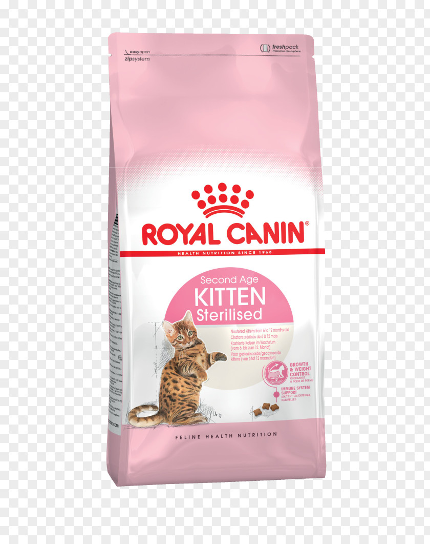 Kitten Cat Food Dog Pet PNG