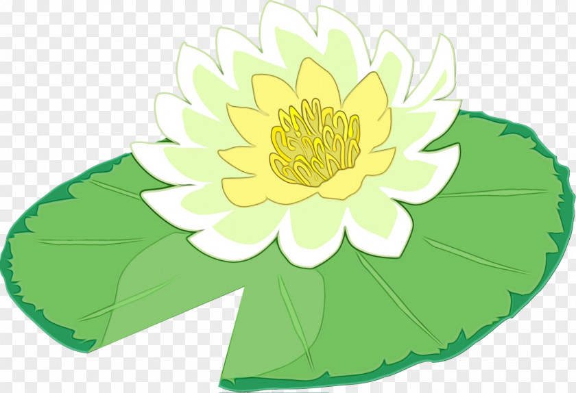 Lotus PNG